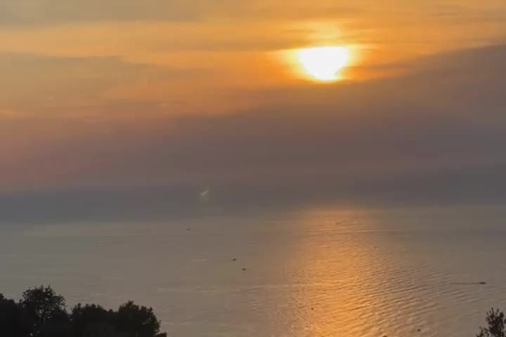 The sun setting over the sea behind a dark treeline.